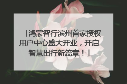 鸿蒙智行滨州首家授权用户中心盛大开业，开启智慧出行新篇章！