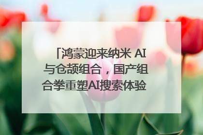 鸿蒙迎来纳米 AI 与仓颉组合，国产组合拳重塑AI搜索体验｜新经济观察