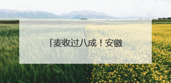 麦收过八成！安徽夏粮有望再迎丰收