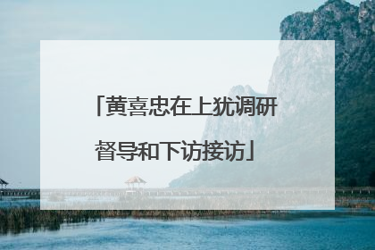 黄喜忠在上犹调研督导和下访接访