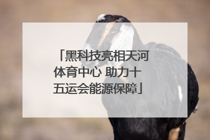 黑科技亮相天河体育中心 助力十五运会能源保障