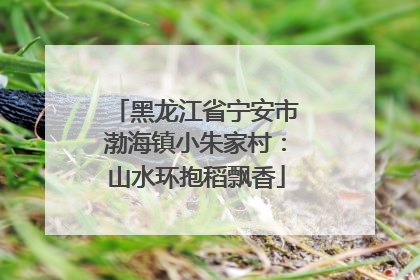 黑龙江省宁安市渤海镇小朱家村：山水环抱稻飘香