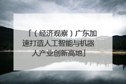 （经济观察）广东加速打造人工智能与机器人产业创新高地
