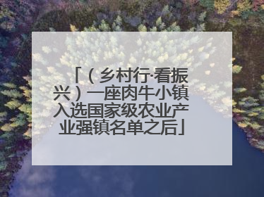（乡村行·看振兴）一座肉牛小镇入选国家级农业产业强镇名单之后