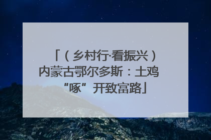 （乡村行·看振兴）内蒙古鄂尔多斯：土鸡“啄”开致富路