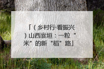 （乡村行·看振兴）山西襄垣：一粒“米”的新“稻”路