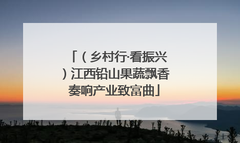 （乡村行·看振兴）江西铅山果蔬飘香 奏响产业致富曲