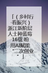 （乡村行·看振兴）浙江新阶层人士种蓝莓16载 盼用AI赋能“二次创业”