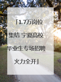1.7万岗位集结 宁夏高校毕业生专场招聘火力全开
