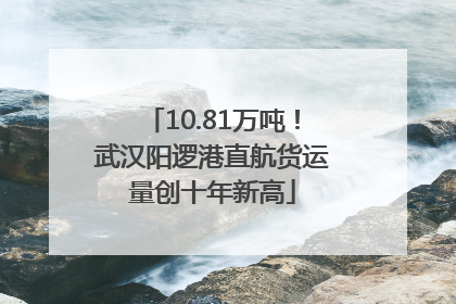 10.81万吨！武汉阳逻港直航货运量创十年新高