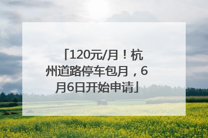 120元/月！杭州道路停车包月，6月6日开始申请