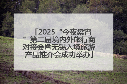 2025“今夜梁宵”第二届境内外旅行商对接会暨无锡入境旅游产品推介会成功举办