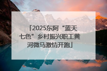 2025东阿“蓝天七色”乡村振兴职工黄河微马激情开跑