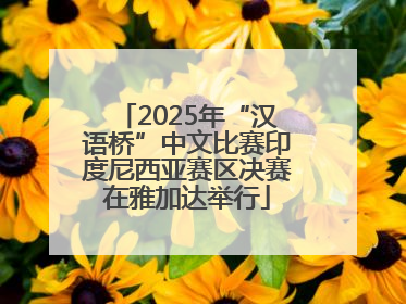 2025年“汉语桥”中文比赛印度尼西亚赛区决赛在雅加达举行