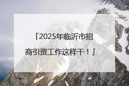 2025年临沂市招商引资工作这样干！