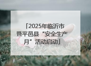 2025年临沂市暨平邑县“安全生产月”活动启动