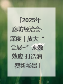 2025年廊坊经洽会·深度｜放大“会展+”乘数效应 打造消费新场景