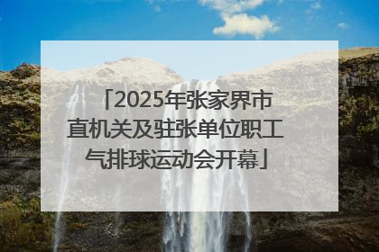 2025年张家界市直机关及驻张单位职工气排球运动会开幕