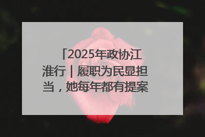 2025年政协江淮行｜履职为民显担当，她每年都有提案被评为“优秀”
