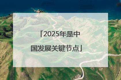 2025年是中国发展关键节点