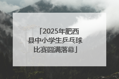 2025年肥西县中小学生乒乓球比赛圆满落幕