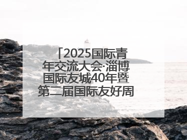 2025国际青年交流大会·淄博国际友城40年暨第二届国际友好周开幕式举行