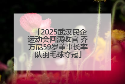 2025武汉民企运动会圆满收官 乔万尼59岁董事长率队羽毛球夺冠