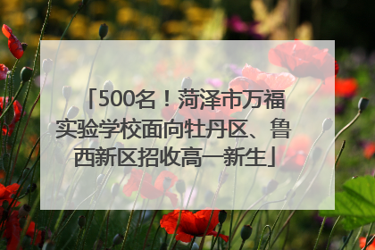 500名！菏泽市万福实验学校面向牡丹区、鲁西新区招收高一新生