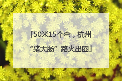 50米15个弯，杭州“猪大肠”路火出圈