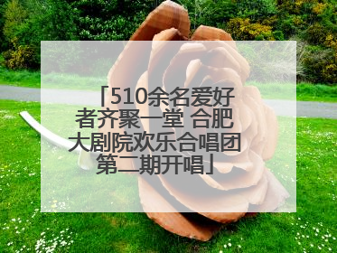 510余名爱好者齐聚一堂 合肥大剧院欢乐合唱团第二期开唱