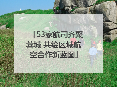 53家航司齐聚蓉城 共绘区域航空合作新蓝图
