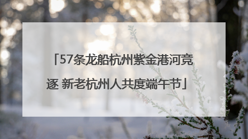 57条龙船杭州紫金港河竞逐 新老杭州人共度端午节