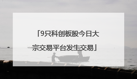 9只科创板股今日大宗交易平台发生交易