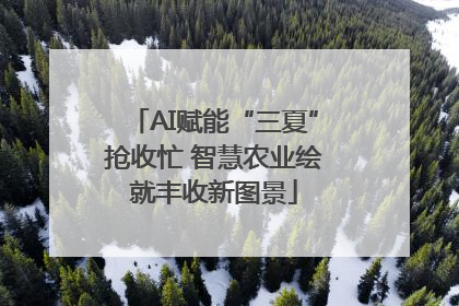 AI赋能“三夏”抢收忙 智慧农业绘就丰收新图景