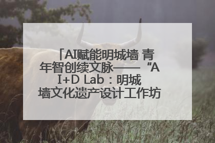 AI赋能明城墙 青年智创续文脉——“AI+D Lab：明城墙文化遗产设计工作坊”在南京开营