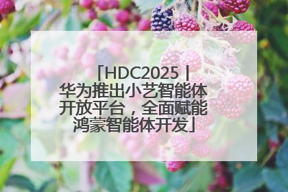 HDC2025丨华为推出小艺智能体开放平台，全面赋能鸿蒙智能体开发